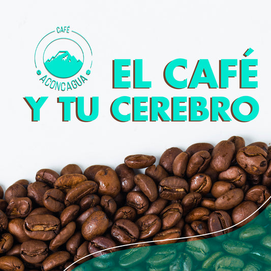 El café y tu cerebro