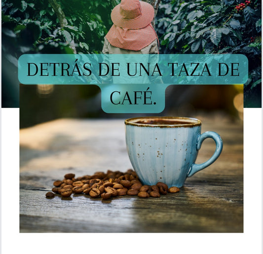 Detrás de una taza de café