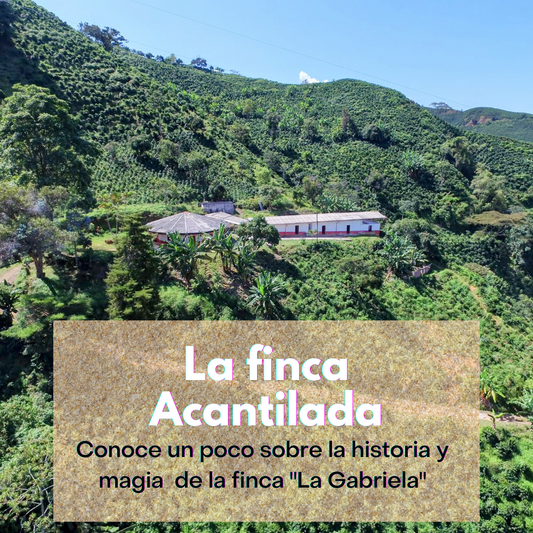 La Finca Acantilada