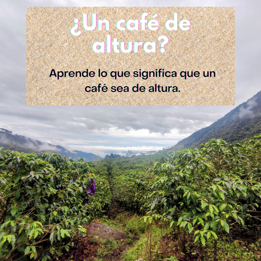 ¿Un café de altura? Aprende lo que significa que un café sea de altura