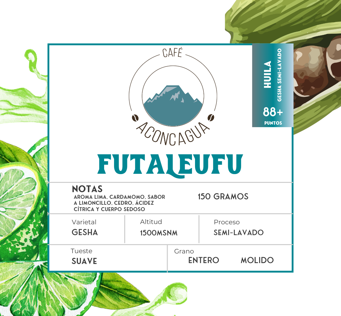 Futaleufú