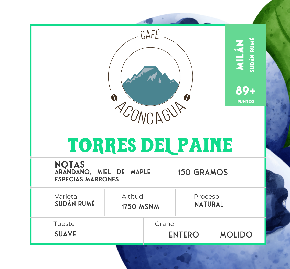 Torres del Paine