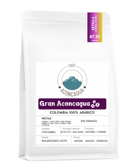 Gran Aconcagua